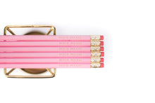 Load image into Gallery viewer, Set of pink pencils with gold lettering &#39;bitch please&#39;
